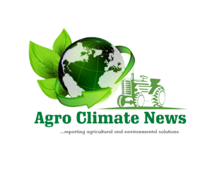 yk1-removebg-preview